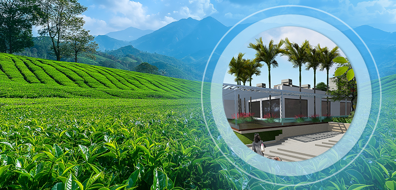 Discover Your Dream Apartments in Dooars by Panthaniwas: Your Gateway to Tranquility