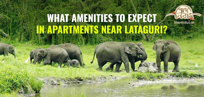 What Amenities to Expect in Apartments Near Lataguri?