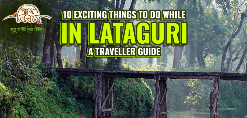 10 Exciting Things to Do While in Lataguri: A Traveller’s Guide