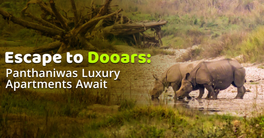 Escape to Dooars: Panthaniwas Luxury Apartments Await