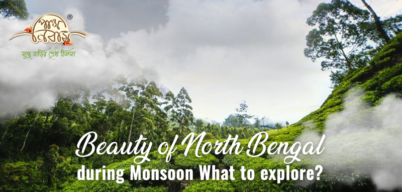 Beauty of North Bengal during Monsoon – What to explore?