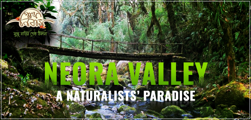 Neora Valley: A Naturalists’ Paradise