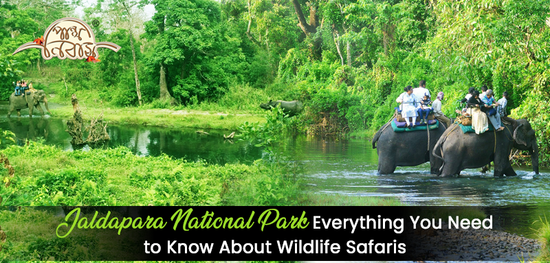 Jaldapara National Park: Everything You Need to Know About Wildlife Safaris