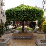 Bijoya Sanmiloni – Photo 22