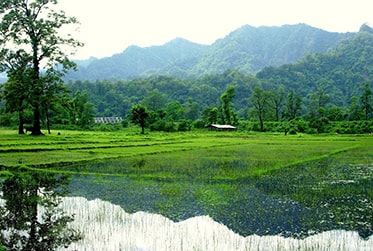 Mongpong is a 30 min Journey